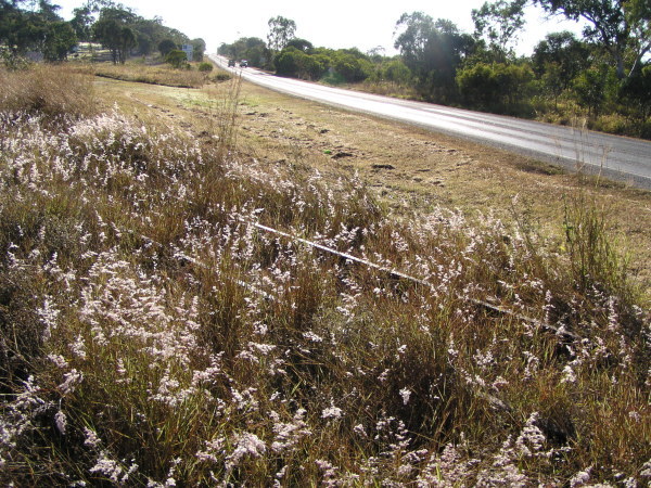 Rockhampton-Yeppoon Road