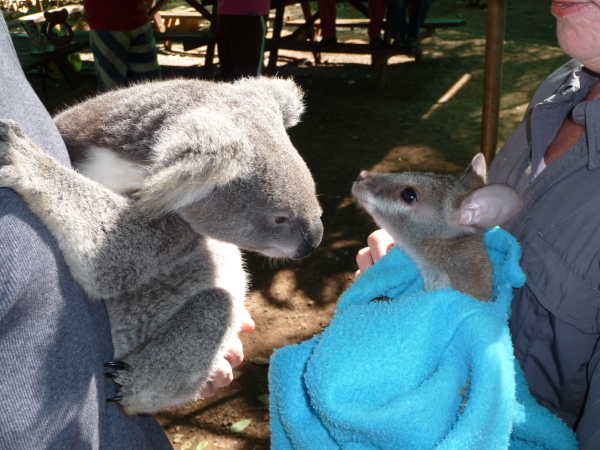 Cooberrie Park