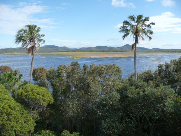 Wetland Tour by Capricorn Resort