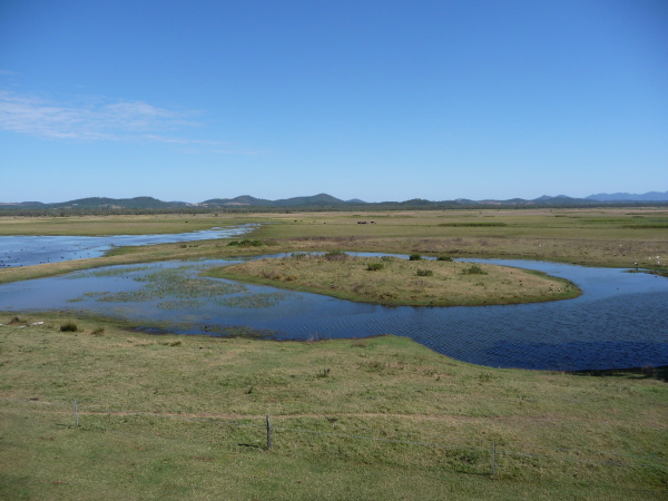 Wetland Tour by Capricorn Resort