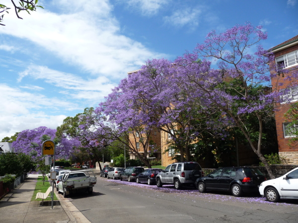 Kirribilli