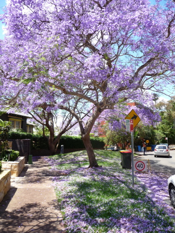 Kirribilli