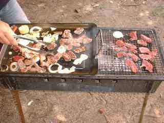 20050612bbq2.JPG