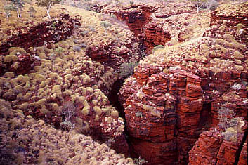 カリジニ国立公園 オーストラリア