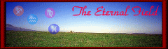 the eternal field