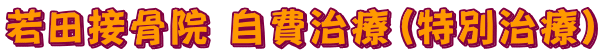 若田接骨院 自費治療(特別治療)
