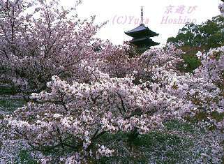 䎺ma 䎺