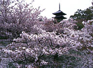 䎺ma 䎺