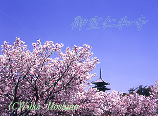 䎺ma s̍