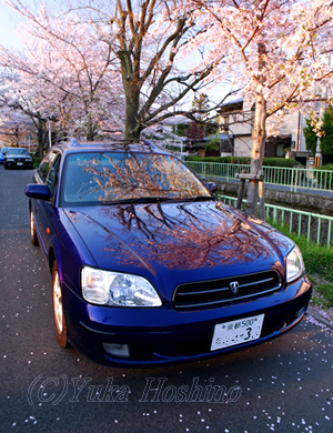 肪ƁAKV[ 