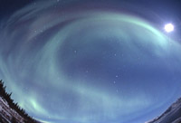 ���R������ �I�[����