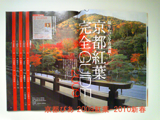sgtSGUIDE2009