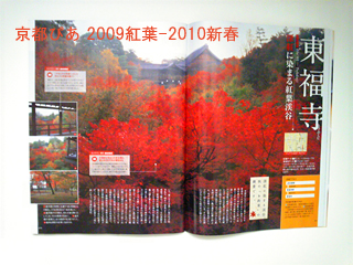 sgtSGUIDE2009