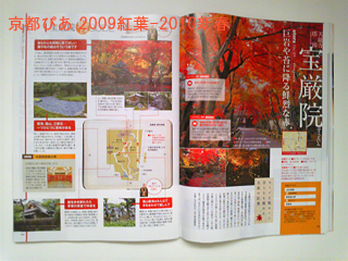 sgtSGUIDE2009