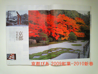 sgtSGUIDE2009