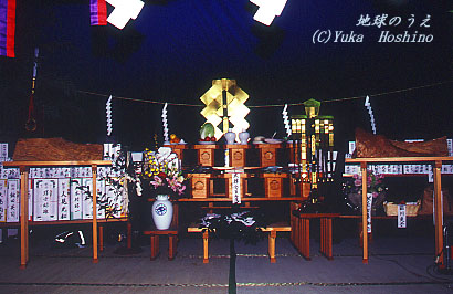 叾 VF_ s