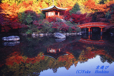gt̑펛 s