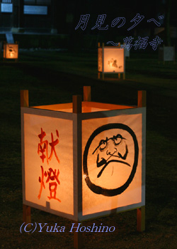 ̗[ ݕ