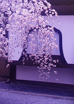䎛  s