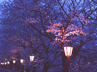 ���s ���