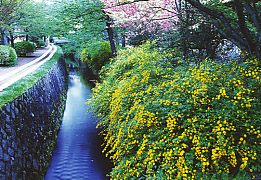 �N�w�̘H �� ���s