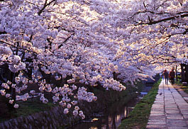 �N�w�̘H �� ���s