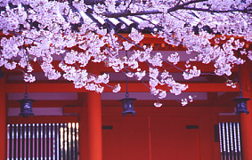 �����_�{ �� ���s