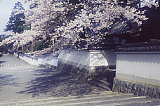 ��T�� �� ���s