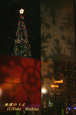 ���s�w�r�� �C���~�l�[�V����