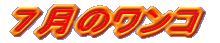 ṼR