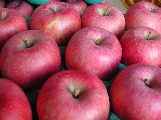 ���i�C���[�W